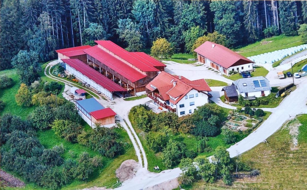סנט סטפן Ferienwohnungen Bauernhof Schilcher מראה חיצוני תמונה