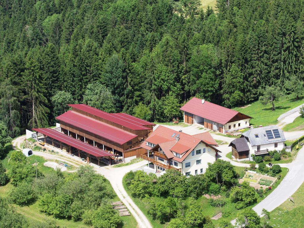 סנט סטפן Ferienwohnungen Bauernhof Schilcher מראה חיצוני תמונה